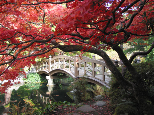 Hatley Castle National Historic Site Victoria BC - Japanese Garden