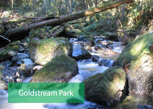 Goldstream Park Victoria BC